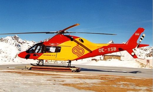 KOALA A119 - Schenk Air - 600 Scale